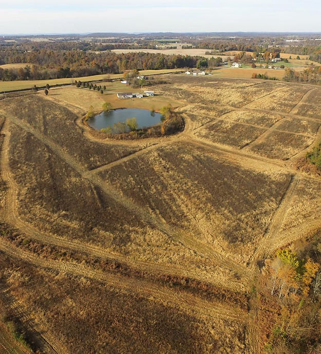 field with lake