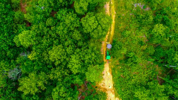 aerial view of forest with gravel road