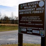 Big Rivers Wildlife Management Area and State Forest brown sign beside a road