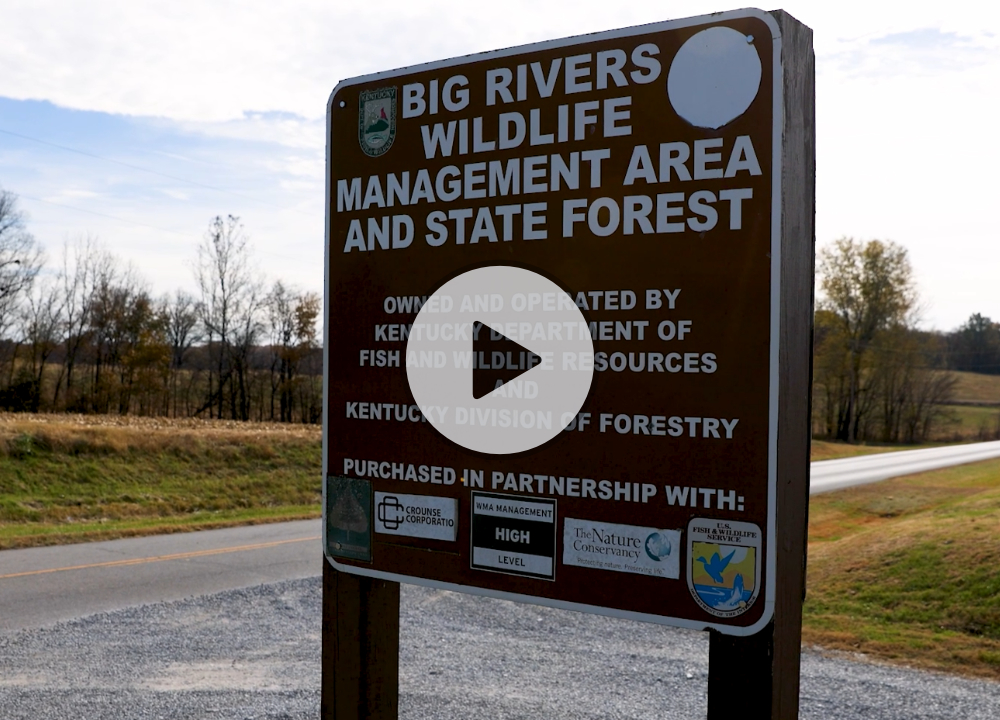 Big River pop-up image