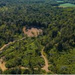 Aerial view of cleared land from tornado damage